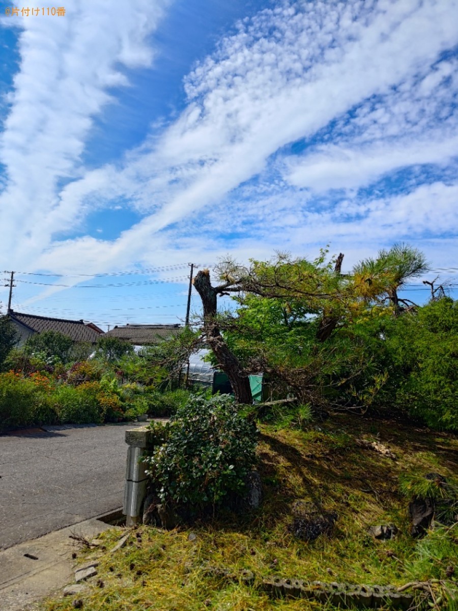 庭木の剪定・伐採作業ご依頼　お客様の声